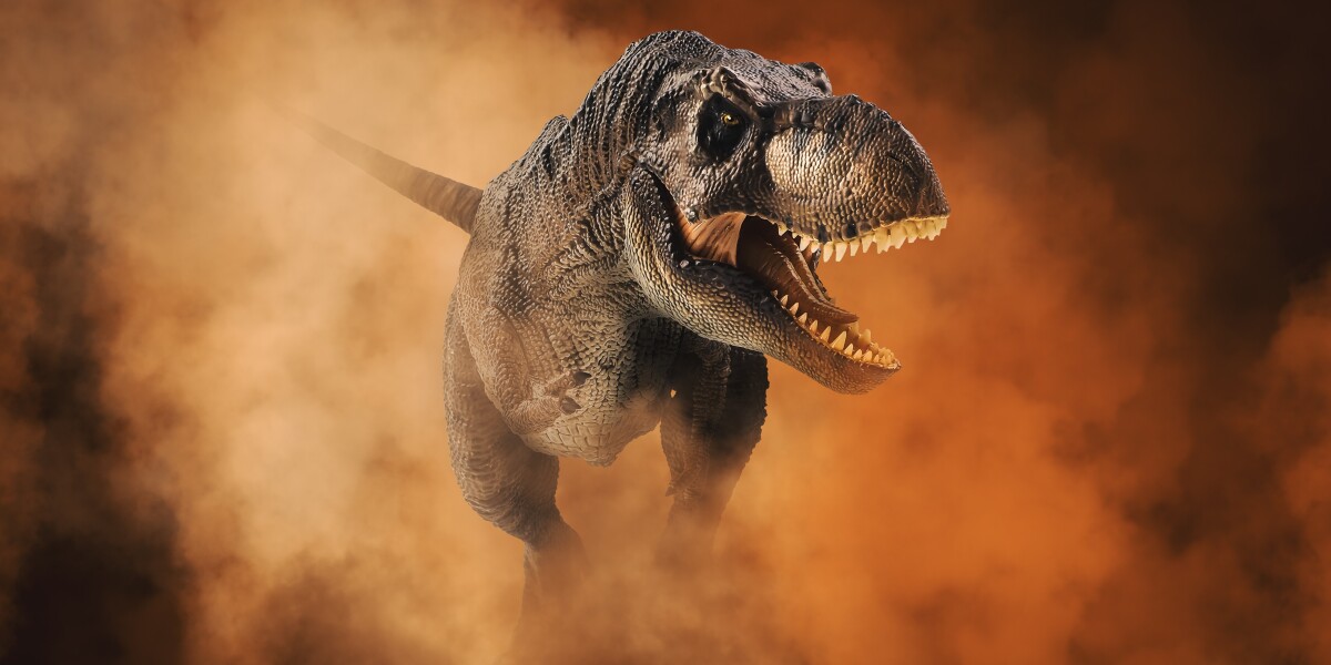 Гипотезу о развитом интеллекте тираннозавров оспорили палеонтологи
