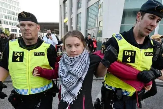Полиция силой увела Грету Тунберг с митинга в Мальмё, где проходит Евровидение